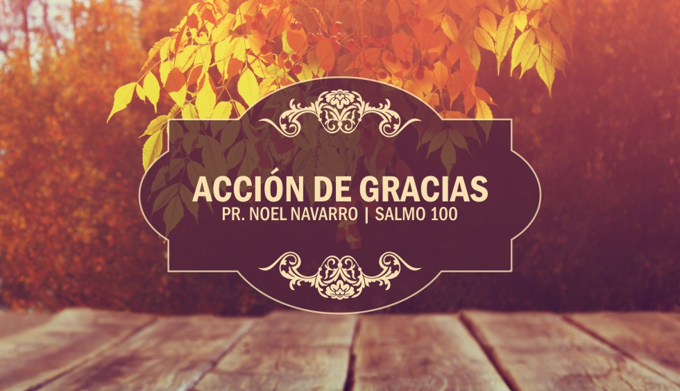 ACCIÓN DE GRACIAS